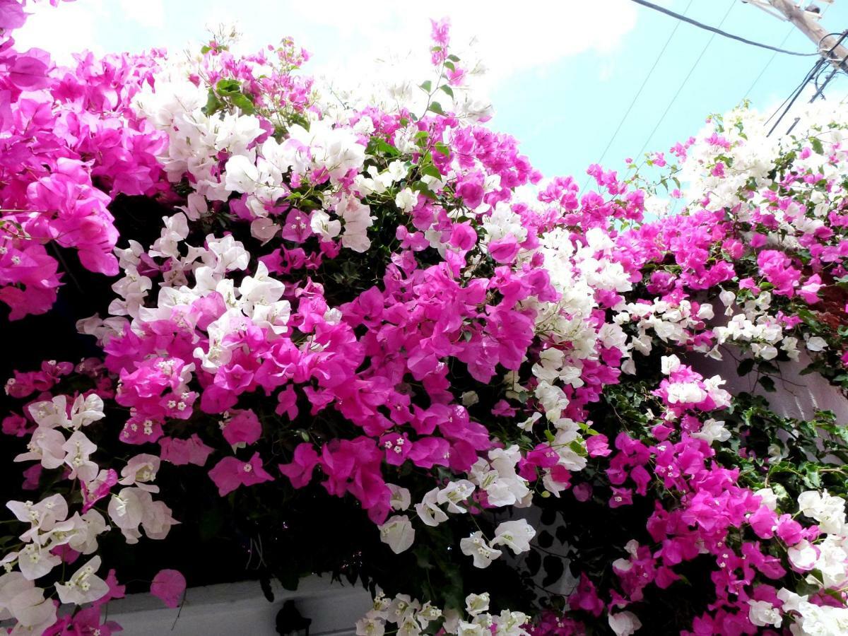 Bougainvillea Suites Kamári Exteriör bild