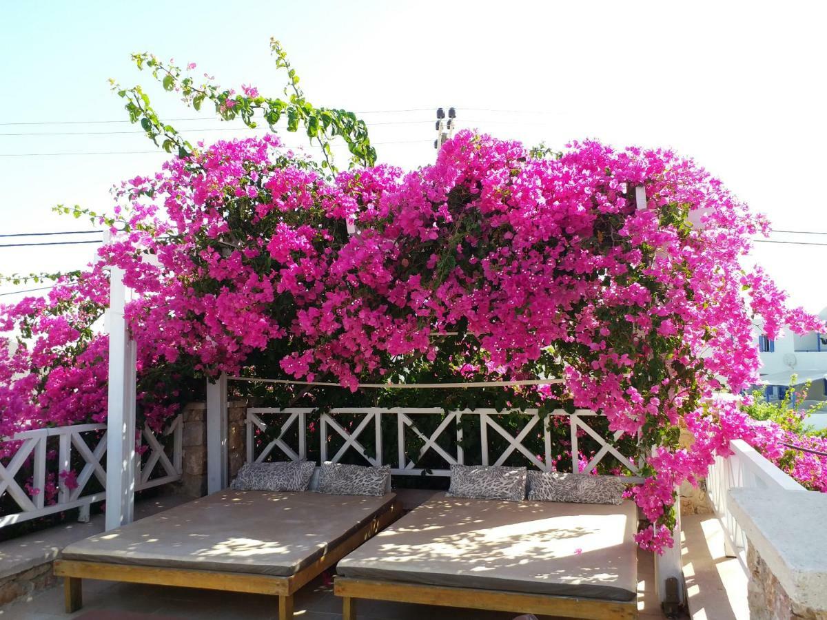 Bougainvillea Suites Kamári Exteriör bild